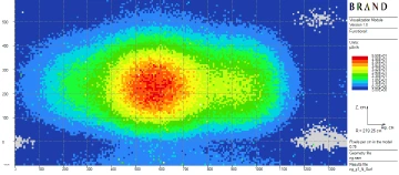 Figure 2: Non-conform dose rate profiles on 2 m from non-uniformly loaded CASTOR-V/21 surface for the same loading configuration [7] (published in 2025). Even just changing the component fractions affects the global total dose rate maxima location. : (a) Neutron : 